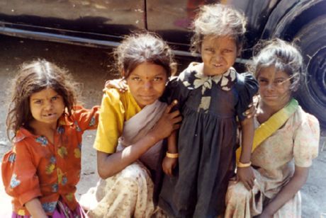 Indien är ledande inom spridningen av djursjukdomar