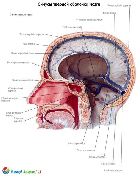 Biverkningar (bihålor) av hjärnans fasta membran