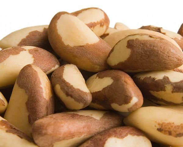 Brazil Nut