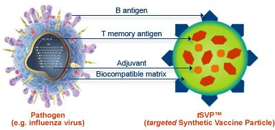 Ett komplext syntetiskt vaccin baserat på DNA-molekyler har skapats